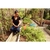 Enxadinha Com Cabo De Madeira 60cm Para Jardim Tramontina - comprar online