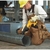 Serra Sabre Dewalt 20v Dcs380b-b3 Sem Bateria na internet