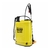 Pulverizador Agricola Pl-20b 20l A Bateria E Manual Lynus - comprar online