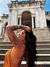 DREAMS MARROM - loja online