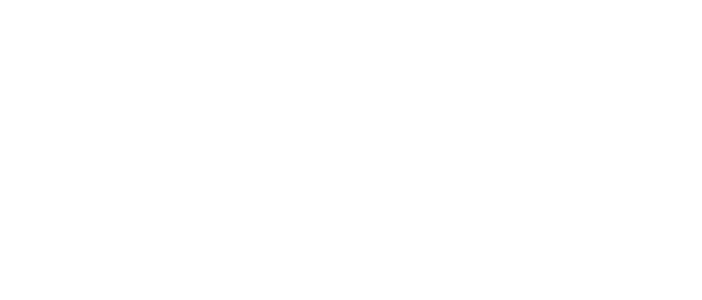Lyon