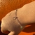 Pulseira Pingente 3 Corações na internet