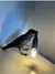 Abajour Lâmpada Bird Crow - comprar online