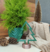 Árvore de Natal Minimalista