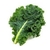 Kale