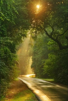 ritual abre caminos