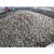 ADUBO 04-14-08 - comprar online