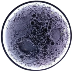 Lampara Luna