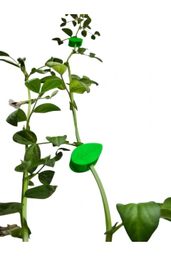 Soporte para plantas .