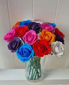 ROSA  en internet
