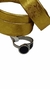 Anillo Leonid