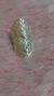 Anillo Lola - Sweet Love Accesorios