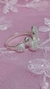 Anillo Javiera en internet