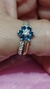 Anillo Ivonne en internet