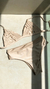 Biquíni Trama Latte Hot Pant