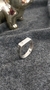 Anel Retangular Sinete com Nome Lateral (Personalizado) Prata 925 - comprar online