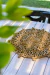 Plato de sitio Fibras Naturales