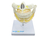 SD-5059/J - DENTIÇÃO ADULTA na internet