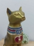 Gato Egípcio Dourado na internet