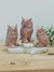 Coruja Trio Dolamita
