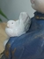 Anjo Pomba Sentado na internet
