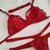 CONJUNTO CELINE - vermelho na internet