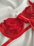 Conjunto Selena - Vermelho na internet