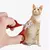 Clippers Pet Unha Toe Garra Trimmer pet na internet