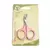 Clippers Pet Unha Toe Garra Trimmer pet na internet
