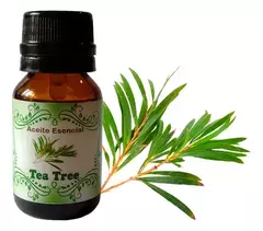 G. NATURALE- Aceite esencial ARBOL DE TE TEA TREE 10ml