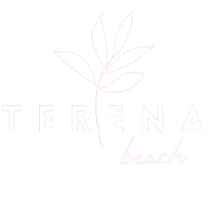 Terena Beach Multimarcas