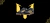 Banner rotativo 2