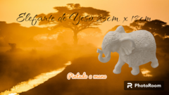 Elefante