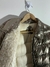 Imagen de Campera (JOTT) Talle S