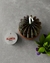Vela Mini Vaso de Cacto - loja online