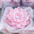 Vela Flor de Lótus 40g (Sem Aroma) | Vela Flutuante - comprar online