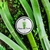 Vela Bosque dos Pandas | Bambu 90g - comprar online