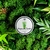 Vela Bosque dos Pandas | Bambu 90g