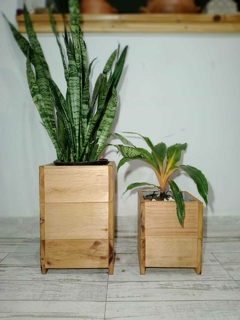 Maceta Arbol 25x30x25 - tienda online