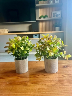 Plantita artificial con maceta de cemento 21x8 cm
