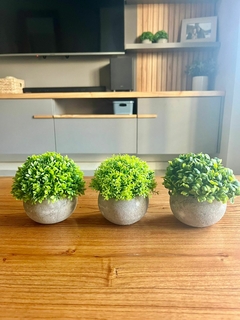 Plantita artificial con maceta de cemento