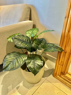 Planta artificial 50 cm (no incluye maceta)