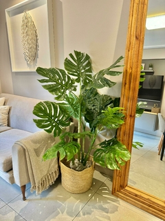 Planta Artificial costilla de Adán 142 cm (no incluye base, ni portamacetas) - comprar online
