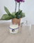 Velas Aromática Clean em Cúpula 140g - Classic Collection - loja online