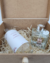 Kit Presente Difusor de Varetas e Home Spray: Sofisticação Miami - comprar online