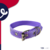 Coleira de nylon CL - comprar online