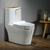 INODORO ONE PIECE PRIEST BLANCO GOLD 72x39.5x73 CM. - comprar en línea