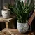 Vaso de cerâmica azul e branco - Lovely Ideas Store
