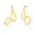 earhook