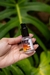 SÉRUM WTOne NUTRIÇÃO COMPLETA / Sérum de Tratamento e finalizador - comprar online